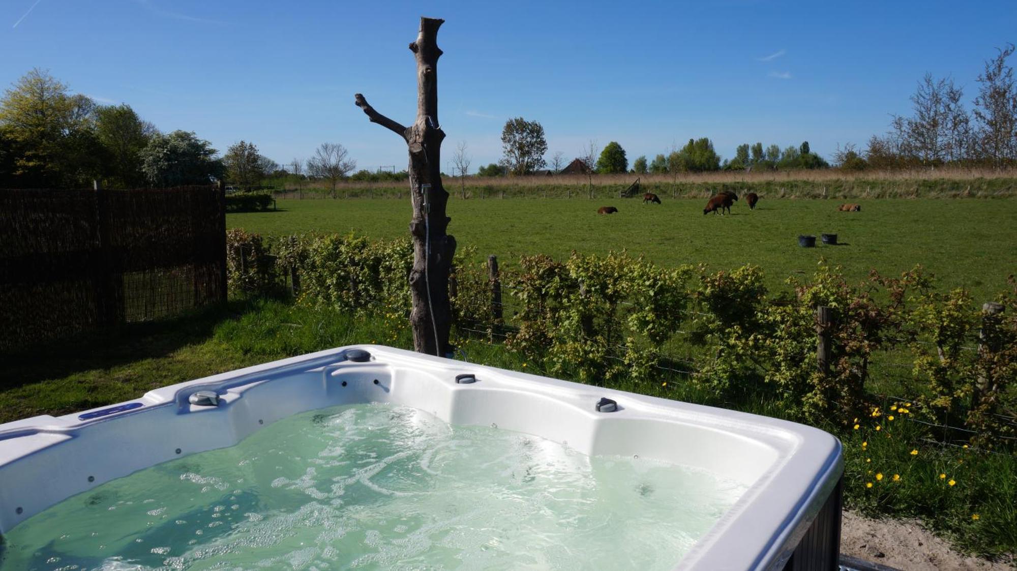 Bed And Breakfast Het Schapenlandje Waarland Dış mekan fotoğraf